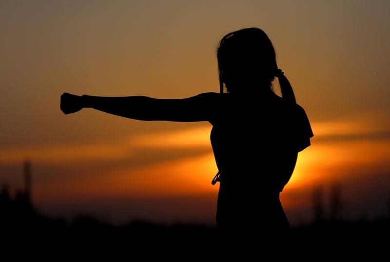 Chen Style Tai Chi Image